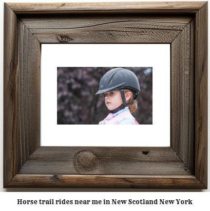 horse trail rides near me in New Scotland, New York